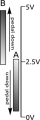 FD8 pedal ranges.png